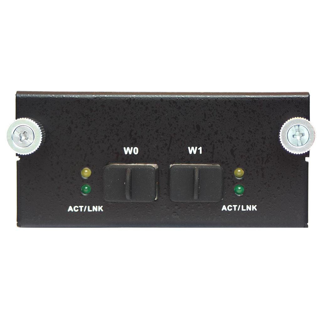 2x SFP+ 10Gb Ethernet LAN-Modul IEC-95W2